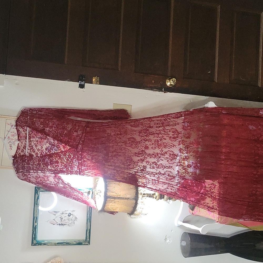 Sheer Wine colored Marernity dress
